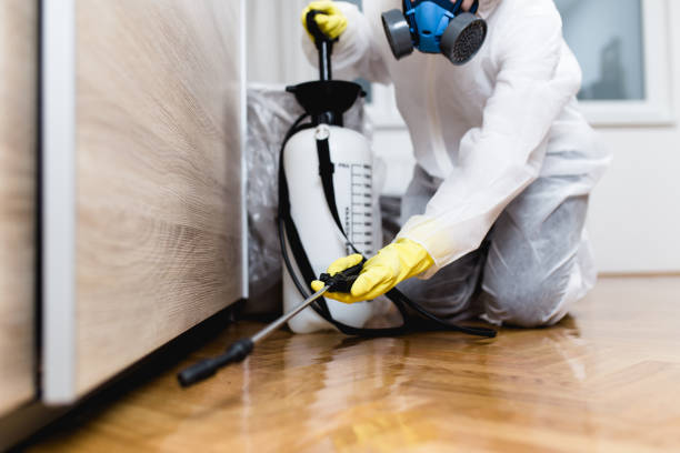 Best Local Pest Control Services  in Cordova, AK