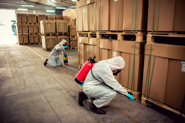 Best Best Pest Control Companies  in Cordova, AK