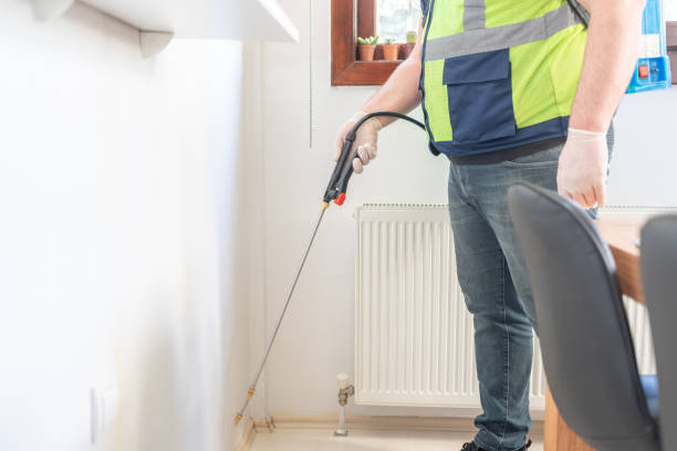 Best Affordable Pest Control Services  in Cordova, AK