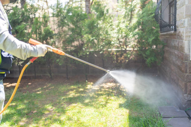 Best Termite Control Services  in Cordova, AK