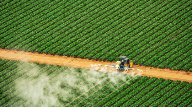 Best Mosquito Control Services  in Cordova, AK