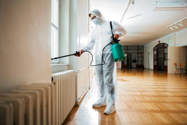 Best Pest Control for Businesses  in Cordova, AK