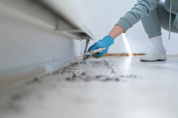 Best Pest Prevention Services  in Cordova, AK